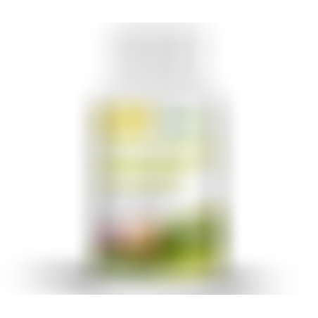 CBD kanapių aliejaus