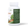 Mugwort (Paprastasis kietis)