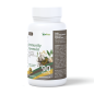 Immunity Formula Immunity Formula