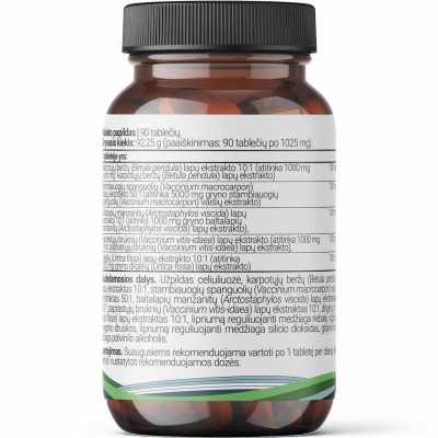 šlapimo takų infekcija