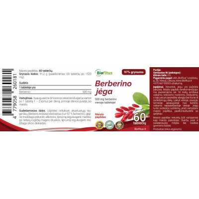 Berberinas kaina