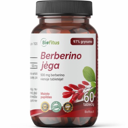 Berberinas 500 (raugerškis)