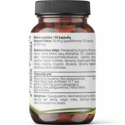 Paragvajinis bugienis