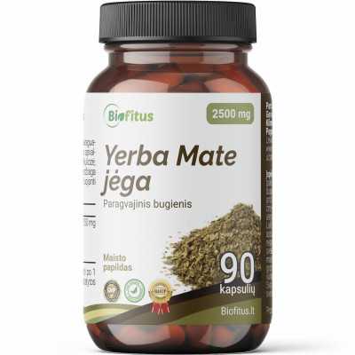 Yerba mate