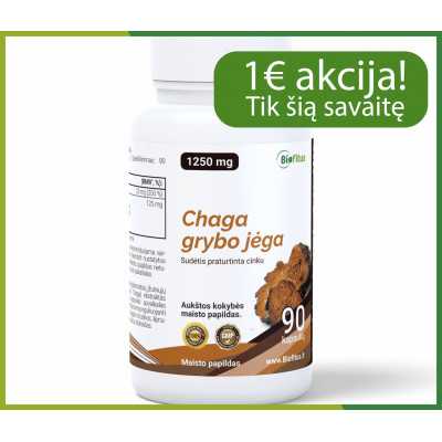 Chaga pirkt internetu akcija nuolaida