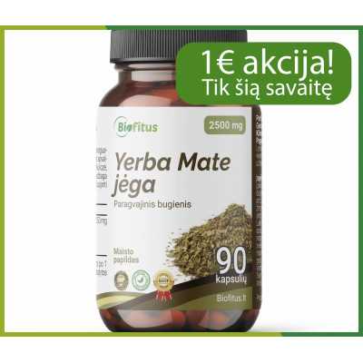 Yerba mate pirkt internetu akcija nuolaida