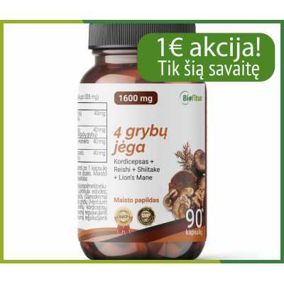 Mediciniai grybai pirkti pigiau