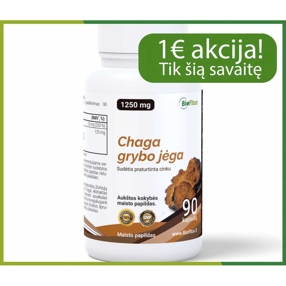 Chaga grybas kapsulės pirkti pigiau geriausias