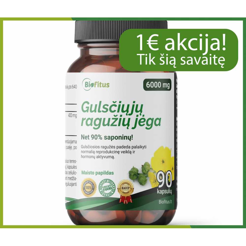 geriausia Gulsčioji ragužė kapsulės pirkti Lietuvoje