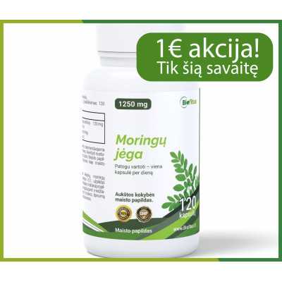 geriausia Moringa pirkti lt
