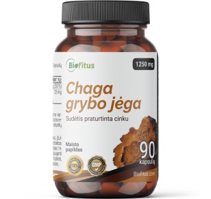 Chaga grybas kapsulėse pirkti