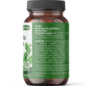 Geriausias Ginkmedžio ekstraktas