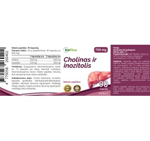 geriausias Cholinas ir Inozitolis kepenims