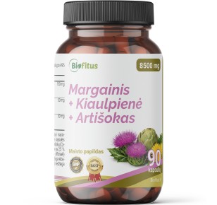 kiaulpienės kapsulės pirkti