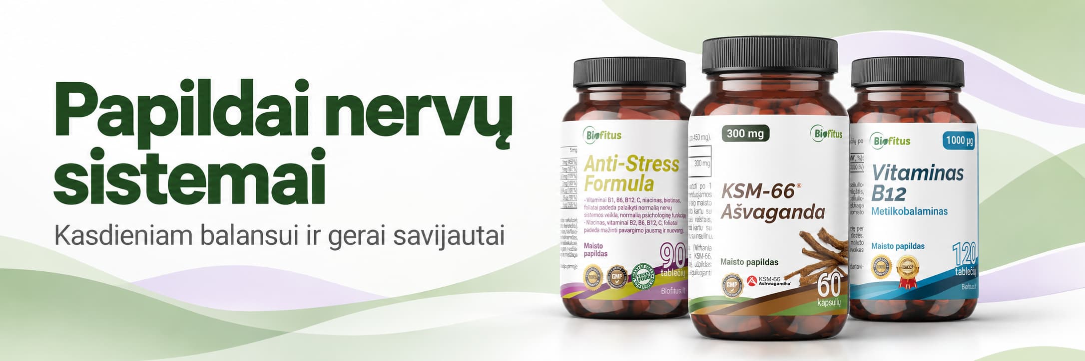 Geriausi maisto papildai nervų sistemai ir nuotaikai